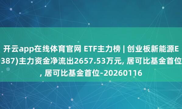 开云app在线体育官网 ETF主力榜 | 创业板新能源ETF国泰(159387)主力资金净流出2657.53万元， 居可比基金首位-20260116
