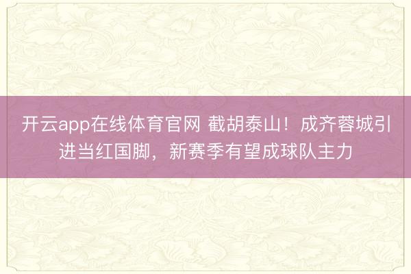 开云app在线体育官网 截胡泰山!成齐蓉城引进当红国脚,新赛季有望成球队主力